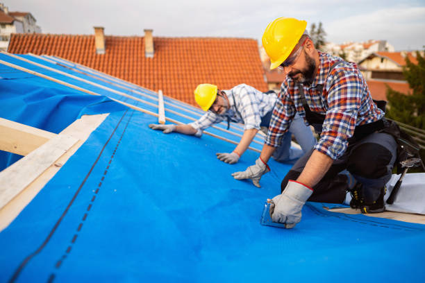 Best Flat Roof Repair Services  in Kenosha, WI