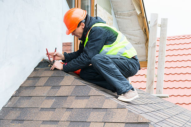 Best Metal Roofing Contractor  in Kenosha, WI